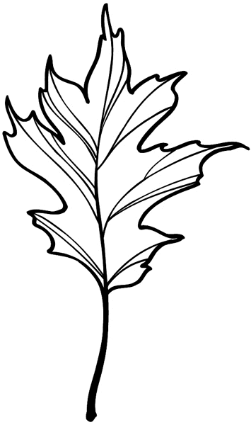 A single leaf vinyl sticker. Customize on line. Flowers Trees Plants 039-0455